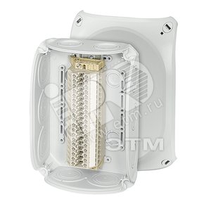 Коробка клеммная 180х130х77 IP66 серая мембраны 19х0.5-4мм RK 1019 T Hensel - HENSEL