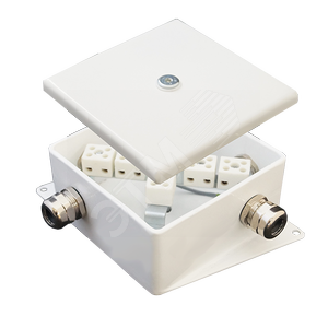 Коробка монтажная огнестойкая КМ-О (4к*60)-IP66-120х120 два ввода AD (КМ-О (4к*6,0)-IP66-120х120 AD) - Гефест-СПб