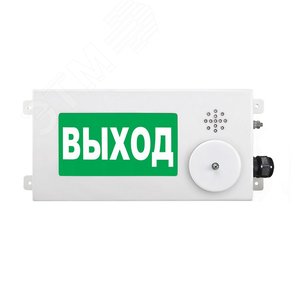 Табло световое взрывозащищенное малогабаритное  ТСВ-Exi-M-Прометей-МИНИ 12-36 В Порошок не входи для взрывоопасных зон  классов  0, 1 и 2. Корпус - низкоуглеродистая сталь. (ТСВ-Exi-M-П-М 12-36ВПор не входи) - Спектрон