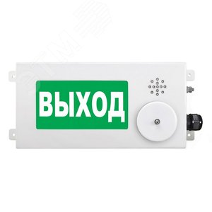 Оповещатель взрывозащищенный ТСВ-Exm-М-Прометей-МИНИ Выход З/Б низкоуглеродистая сталь 110-220 VAC (ТСВ-Exm-М-Прометей-МИНИ Выход) - Спектрон