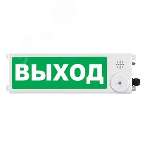 Табло световое взрывозащищенное ТСВ-Exm-Прометей 12-36 В Выход - Спектрон