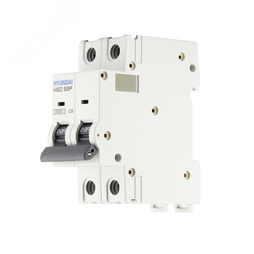 Автоматический выключатель HGD63P 2PMCS0000C 00025 2 полюса, 25А, ток к.з. 10kA, хар-ка C (STANDARD) 8