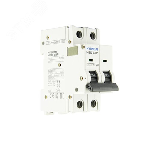 Автоматический выключатель HGD63P 2PMCS0000C 00020 2 полюса, 20А, ток к.з. 10kA, хар-ка C (STANDARD)
