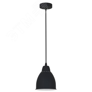 Светильник подвесной BRACCIO E27 1х60Вт Металл Чёрный - Arte Lamp
