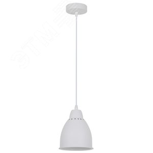 Светильник подвесной BRACCIO E27 1х60Вт Металл Белый - Arte Lamp
