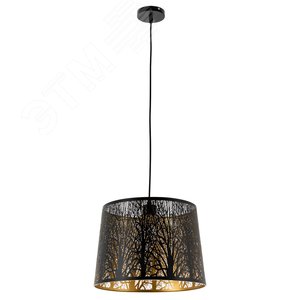 Светильник подвесной CELESTA E27 1х60Вт Металл Чёрный - Arte Lamp