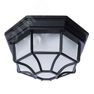 Светильник уличный потолочный PEGASUS E27 1х60Вт Металл Чёрный - Arte Lamp