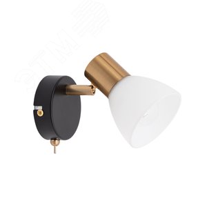 Спот FALENA E14 1х40Вт Металл Чёрный - Arte Lamp