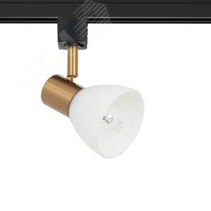Светильник трековый FALENA E14 1х40Вт Металл Чёрный - Arte Lamp