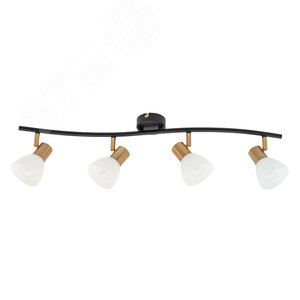 Спот FALENA E14 4х40Вт Металл Чёрный - Arte Lamp