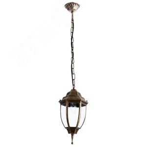 Светильник уличный подвесной PEGASUS E27 1х60Вт Металл Чёрный - Arte Lamp