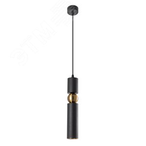 Светильник точечный подвесной RAN GU10 1х50Вт Металл Чёрный - Arte Lamp
