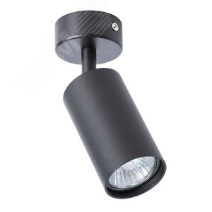 Спот AQUARIUS GU10 1х35Вт Сталь Чёрный - Arte Lamp