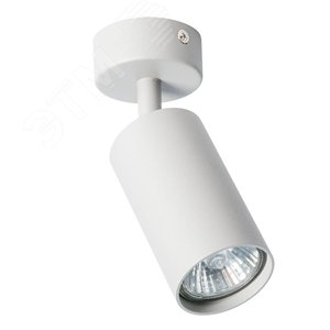 Спот AQUARIUS GU10 1х35Вт Сталь Серый - Arte Lamp
