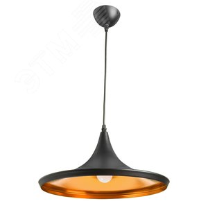 Светильник подвесной CAPPELLO E27 1х40Вт Металл Чёрный - Arte Lamp