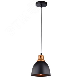 Светильник подвесной EURICA E27 1х60Вт Металл Чёрный - Arte Lamp