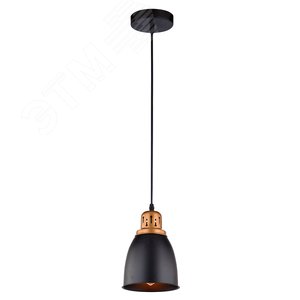 Светильник подвесной EURICA E27 1х60Вт Металл Чёрный - Arte Lamp