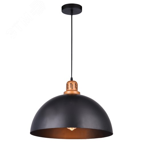 Светильник подвесной EURICA E27 1х60Вт Металл Чёрный - Arte Lamp