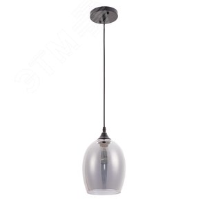 Светильник подвесной PROPUS E27 1х60Вт Металл Чёрный - Arte Lamp