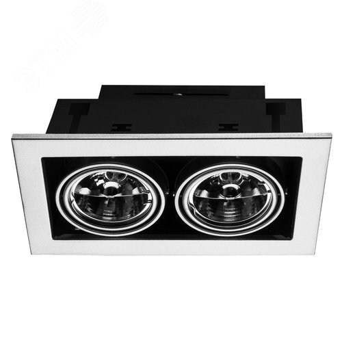 Встраиваемый светильник Arte Lamp CARDANI MEDIO A5930PL-2SI (A5930PL-2SI) - Arte Lamp