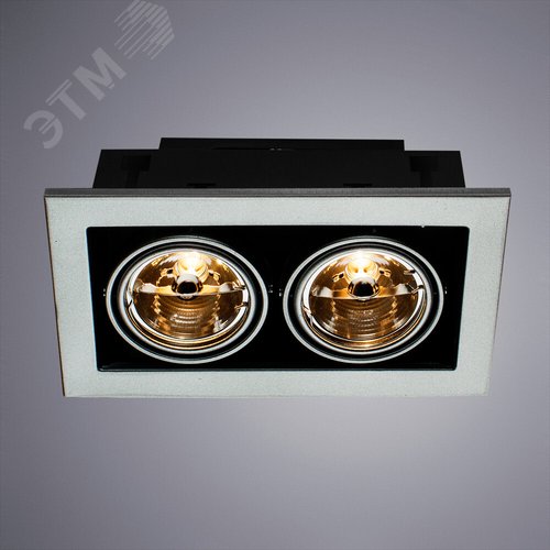 Встраиваемый светильник Arte Lamp CARDANI MEDIO A5930PL-2SI (A5930PL-2SI) - фото 2