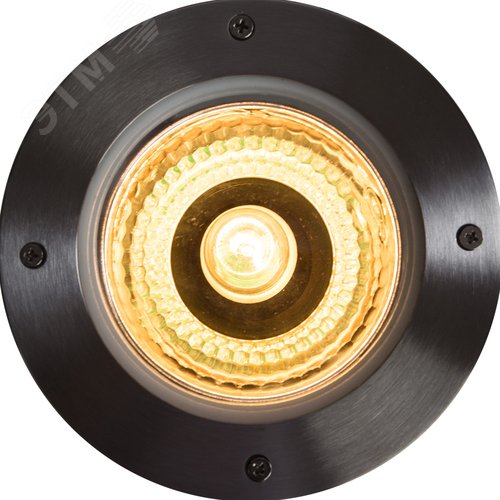 Уличный светильник Arte Lamp PIAZZA A6013IN-1SS (A6013IN-1SS) - фото 2