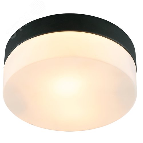 Светильник потолочный AQUA-TABLET E27 1х60Вт Металл Чёрный - Arte Lamp