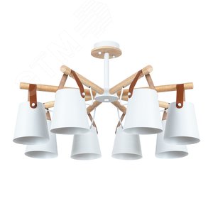 Люстра потолочная THOMAS E27 8х60Вт Металл Белый - Arte Lamp