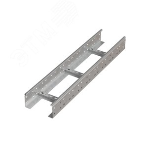 Лоток лестничный 100х300х2,0 L6000 мм N