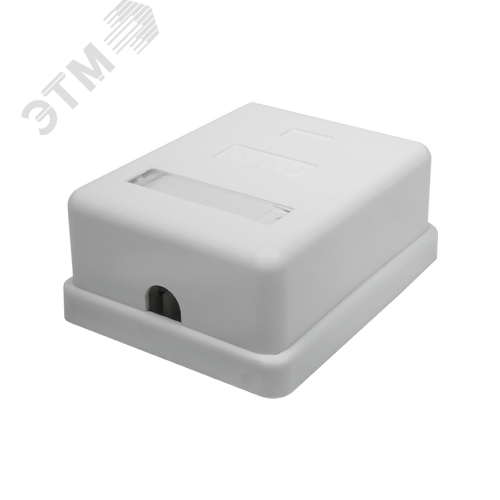 Розетка компьютерная 8P8C (RJ-45) UTP Cat5e 1 порт (DIY упак.) - фото 2