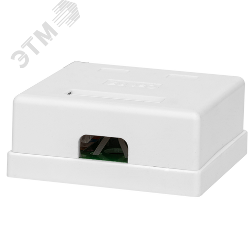 Компьютерная розетка 8P8C (RJ-45), UTP, Cat.5e, 2 порта - фото 4