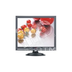 Монитор LCD 19Разрешение - 1280х1024 Видео входы - HDMI DVI VGA S-video BNC Аудио входы - PC-jack RCA Stereo - Microdigital