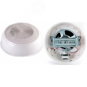 Громкоговоритель настенный WP-10T (WP-10T) - Roxton