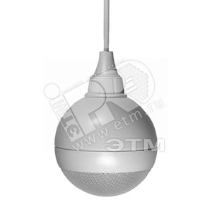 Оповещатель речевой потолочный ГЛАГОЛ-ПШ-10(пол.) (ГЛАГОЛ-ПШ-10пол) - Тромбон