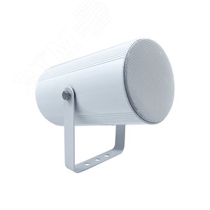 Оповещатель Глагол ЗП-10А (Глагол ЗП-10А)