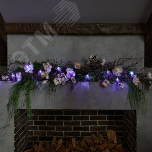 Гирлянда светодиодная на батарейках 2AA не в/к Виноград 4 м 10 светодиодов прозрачный провод ULD-S0400-010/STB/2AA WHITE IP20 GRAPES 6