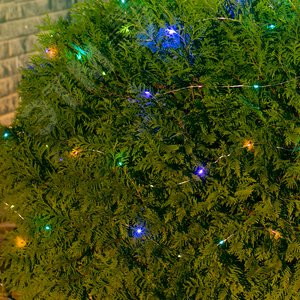 Гирлянда cадовая на солнечной батарее Роса, 100 светодиодов, разноцветный свет, 1xАА Ni-Mh аккумулятор в/к IP44 3