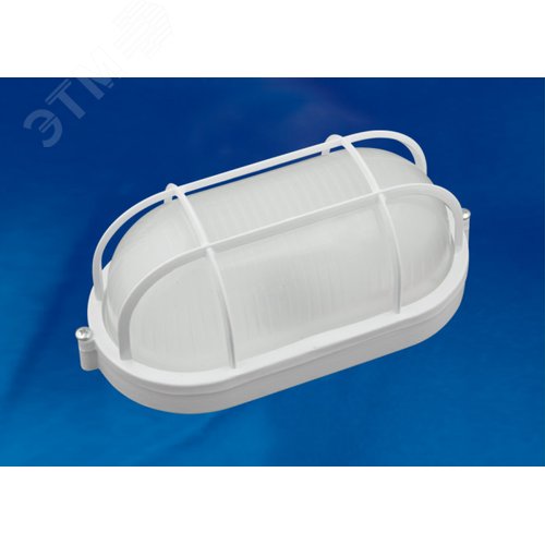 Светильник светодиодный влагозащищенный овал с решеткой дневной белый свет 6000K 600 Лм 210x105x85 мм белый корпус ТМ 3