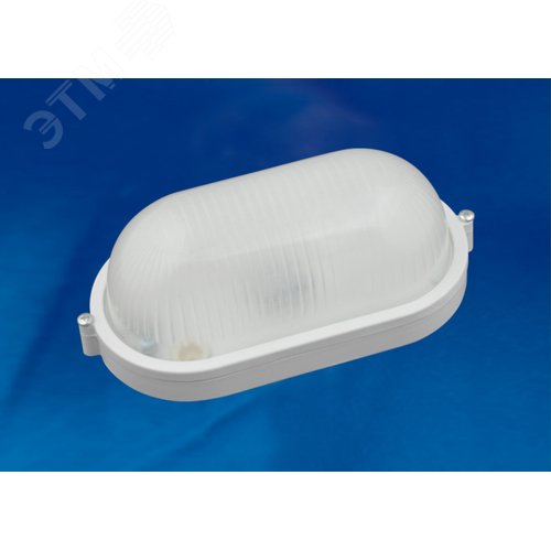 Светильник светодиодный влагозащищенный овал дневной 600х80 мм белый корпус 2
