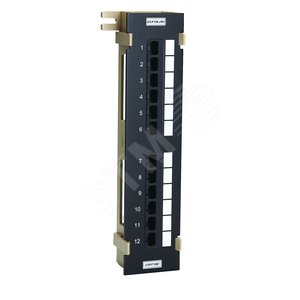 Панель коммутационная настенная категории 5е UTP 12хRJ45 568A/В черная - Eurolan