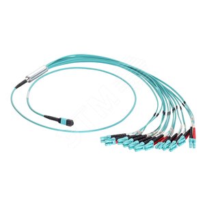 Фэнаут-сборка гидра 24xLC на 1xMTP(24) (male) OM4 3.0м выносы 0.5м серия 20 (43H4024M2LC0030EMA20D) - Eurolan