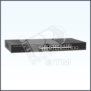 Коммутатор сетевой RVi-NS1602 2 порта+16 портов таблица МАС адресов-4К монтаж в 19` - RVi