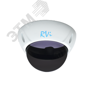 Тонированный купол RVi-1DS2w          Бел. (RVi-1DS2w) - RVi