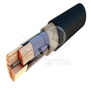 Кабель силовой ПвВГнг(А)-LS 4х50мс(N)-1 ТРТС - ЭМ-Кабель