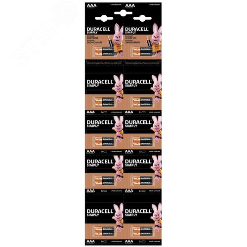 Элемент питания алкалиновый LR03-2BL BASIC 2*10 - Duracell