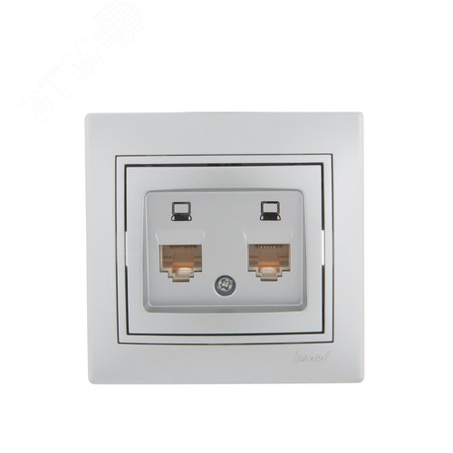 Мира Розетка RJ 45 х2 металлик серый со вставкой - фото 2