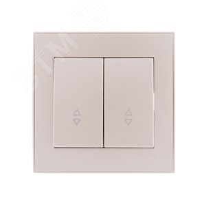 Выключатель RAIN проходной 2-ой жемчужно-белый перламутр