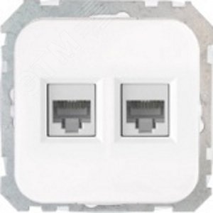Беларусь узел 2-х местн компьютерной розеткиРК216-009 - БелТИЗ