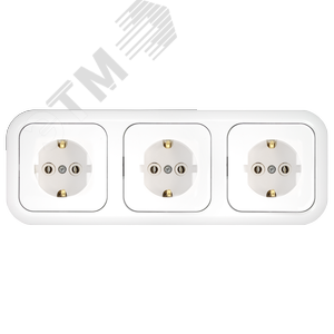 Беларусь Розетка 3-х местн На шинах