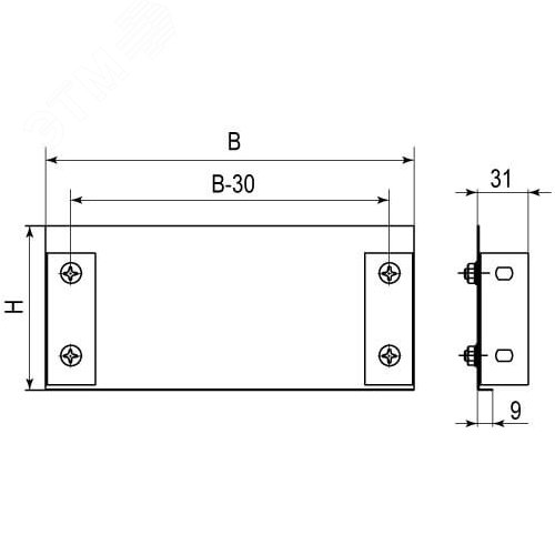 Пластина торцевая TC 300х100 2
